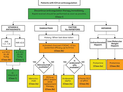 family stroke 2022|2022 Guideline for the Management of Patients With。